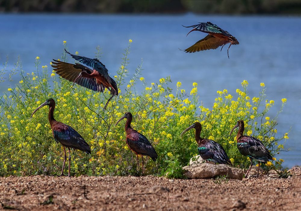 Photograph by Марина Ческис