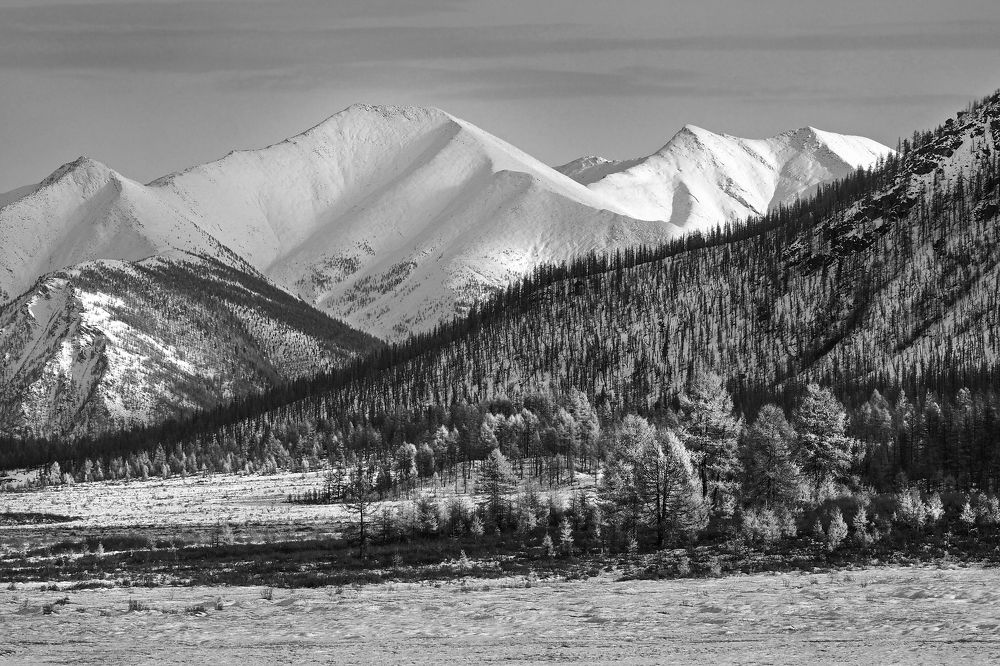 Photograph by Александр Попов