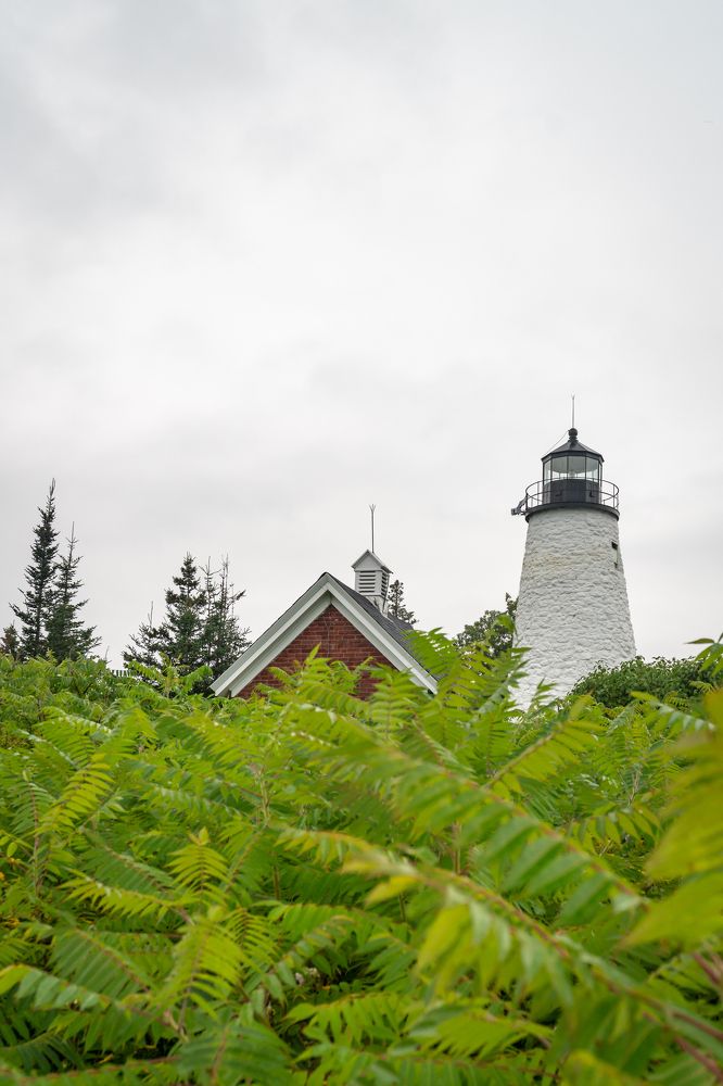 Photograph by Fabio Aristizábal