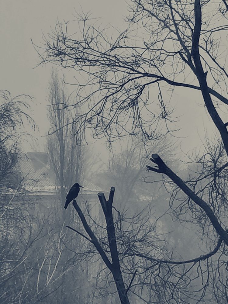 Photograph by Алексей Титков