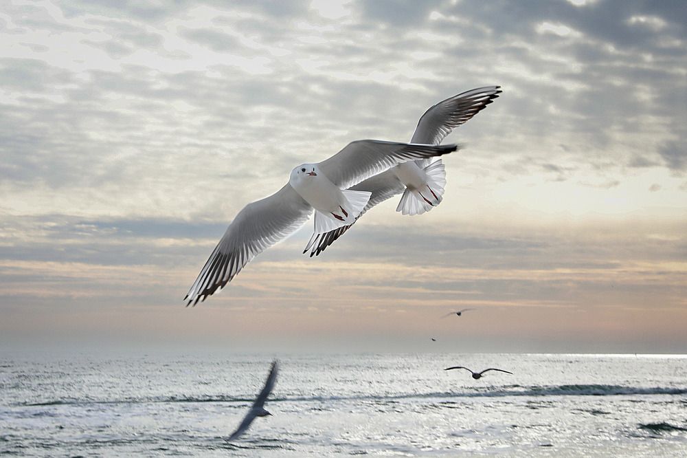 Photograph by Ирина Подгорная