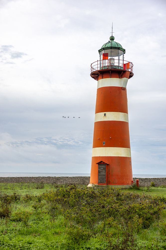 Photograph by Julien Pröpper