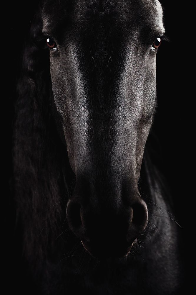 Photograph by Дарья Ералева