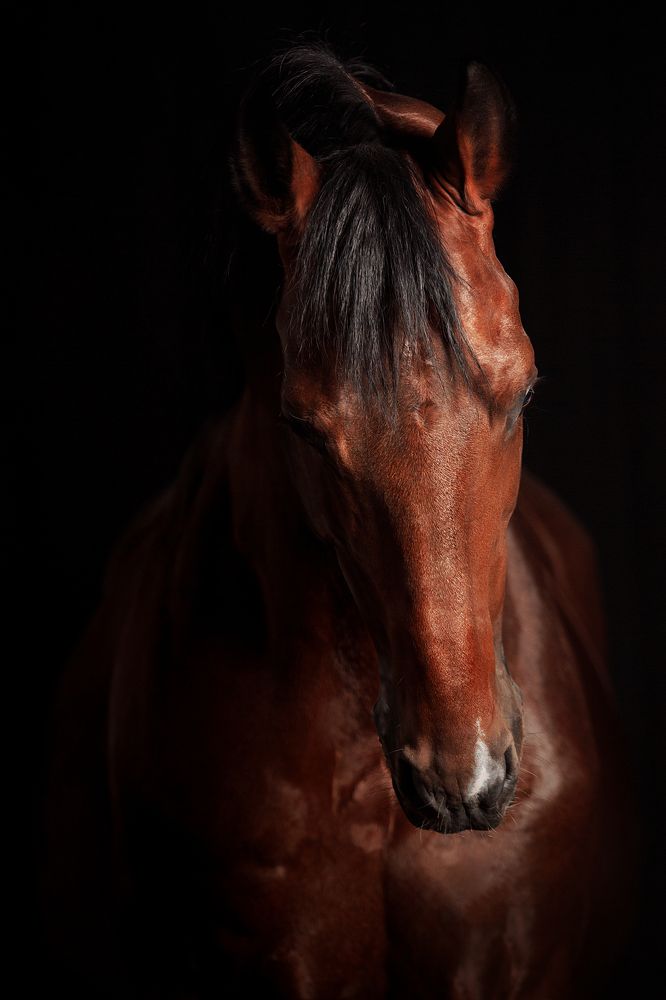 Photograph by Дарья Ералева