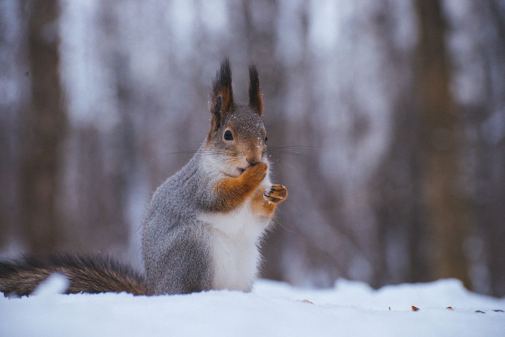 Photograph by Ирина