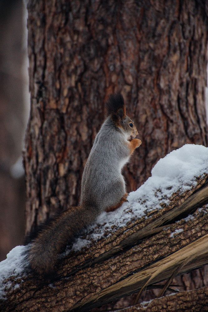 Photograph by Ирина