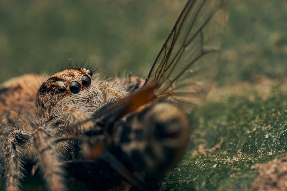 Фотография автора Santiago Diaz Aragon