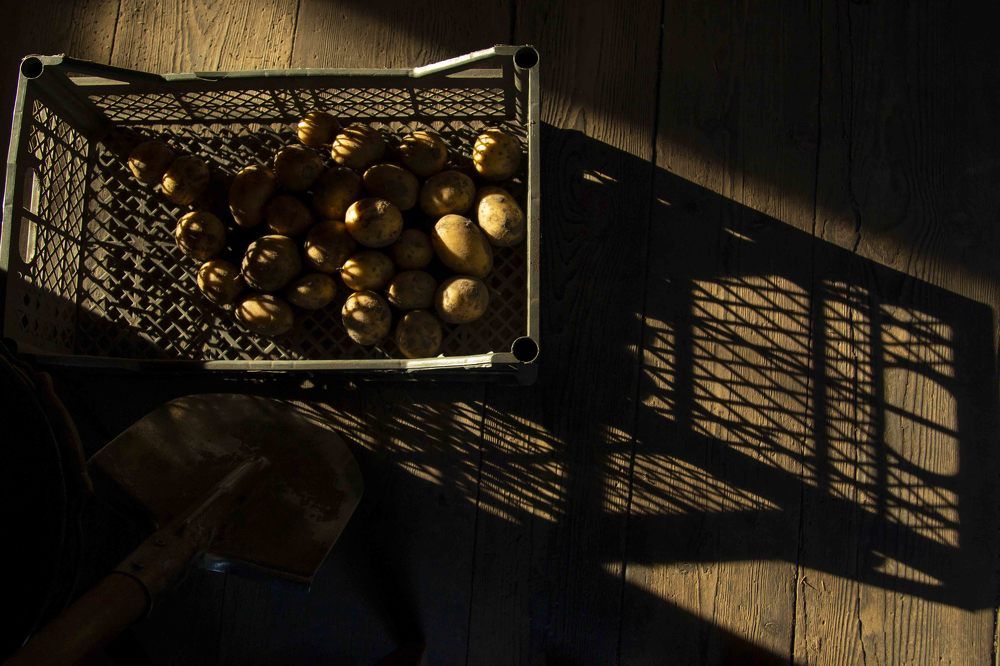 Август. Начало