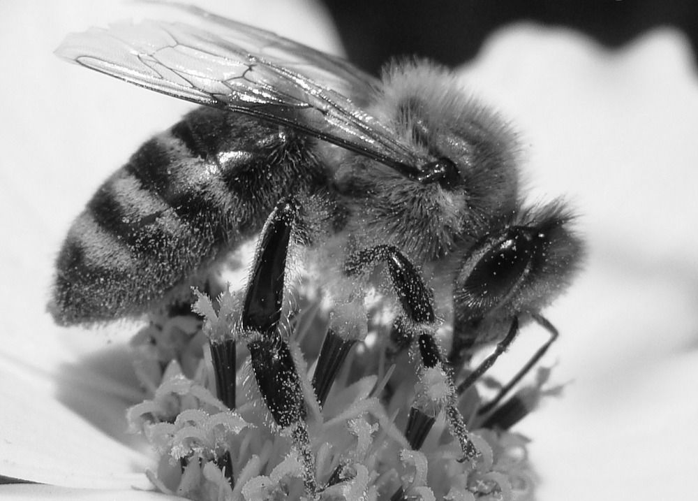 Фотография автора Павел Попов