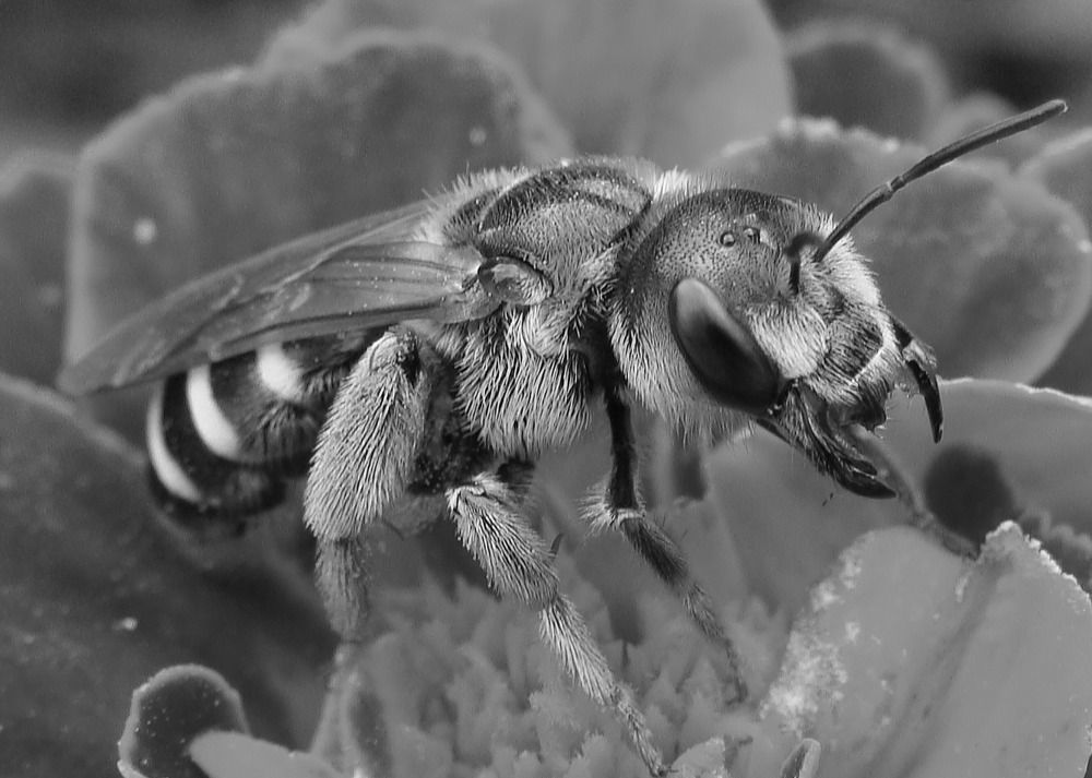 Фотография автора Павел Попов