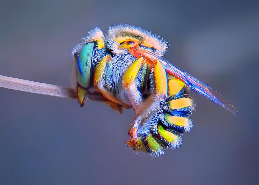 Photograph by Amin Ghaffarian