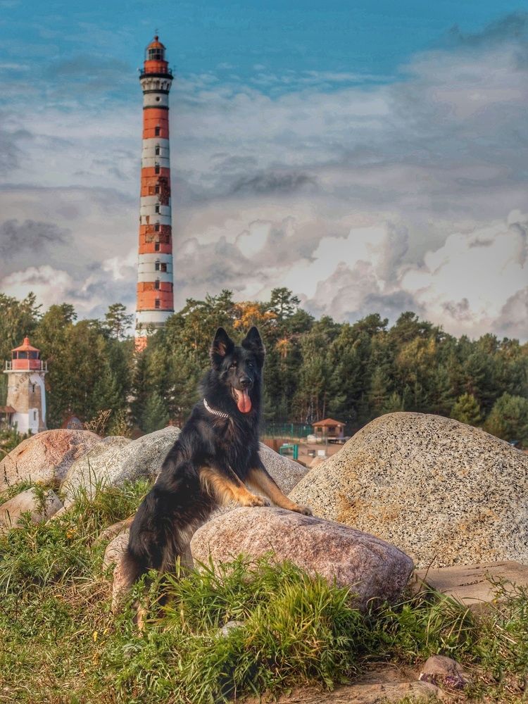 Photograph by Татьяна