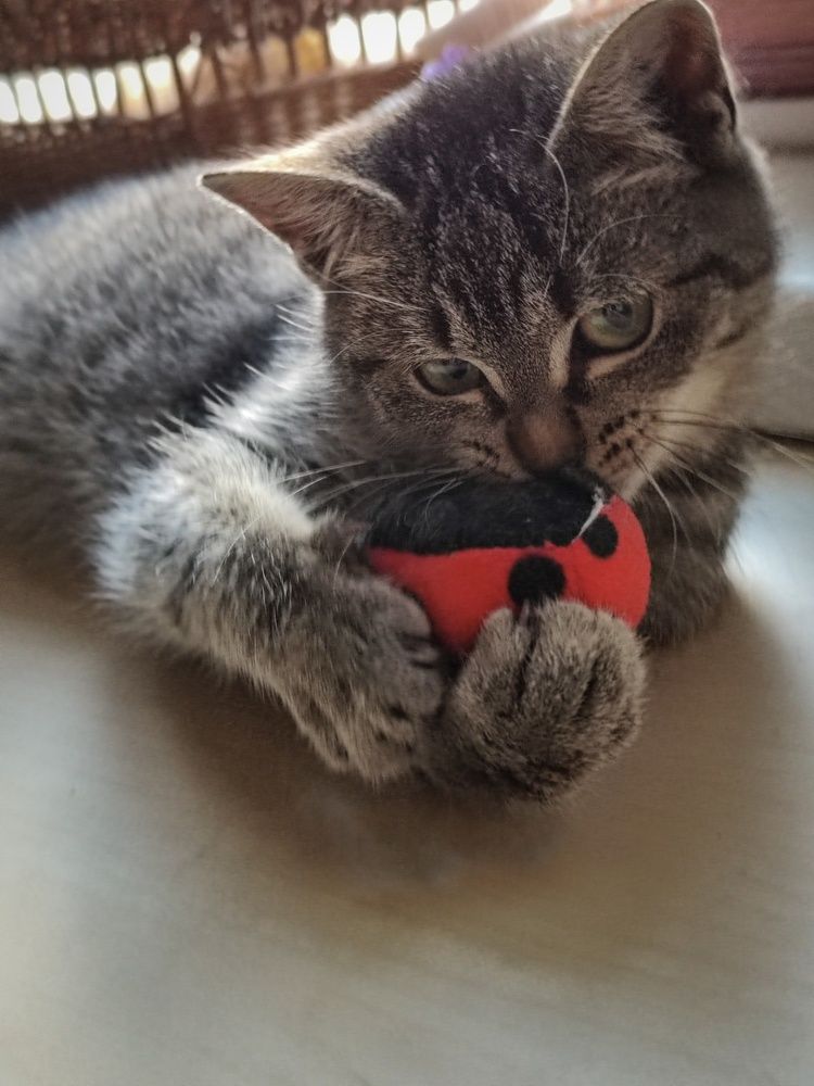 Photograph by Светлана Захарова