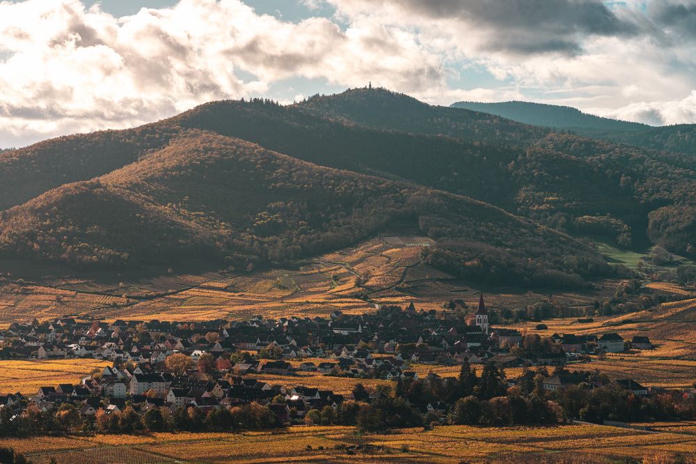 Фотография автора Stéphane MOSER