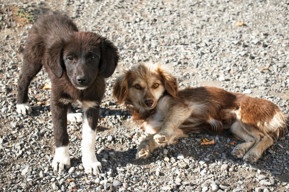 Photograph by Альфия Агзами