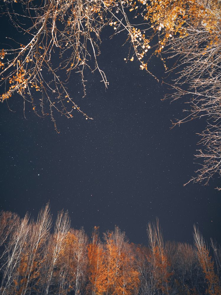 Photograph by صدرا