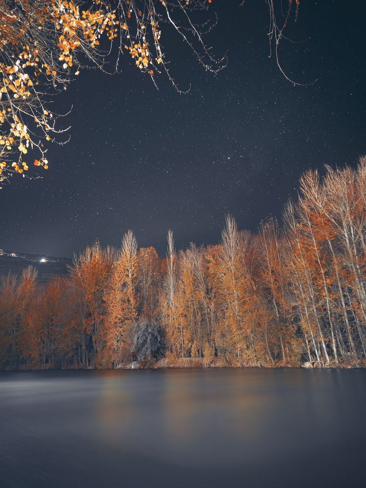 Photograph by صدرا