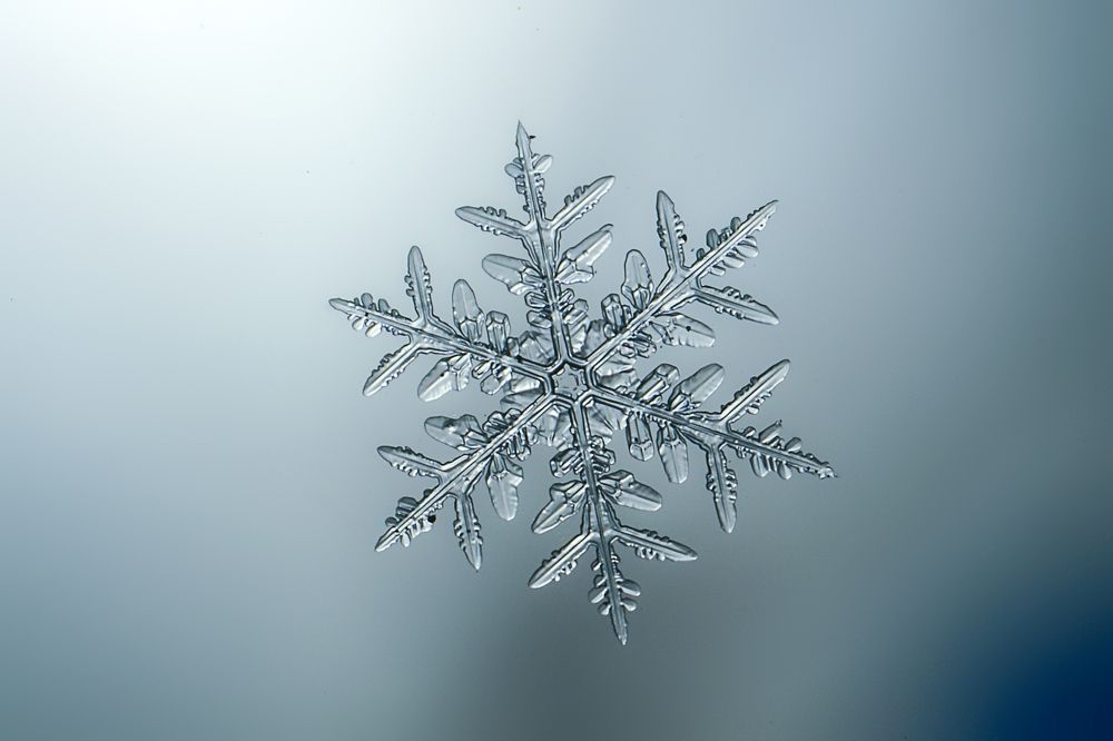 Photograph by Алексей Козлов