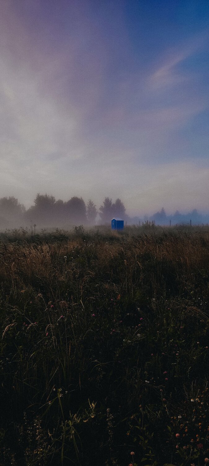Photo #9941849