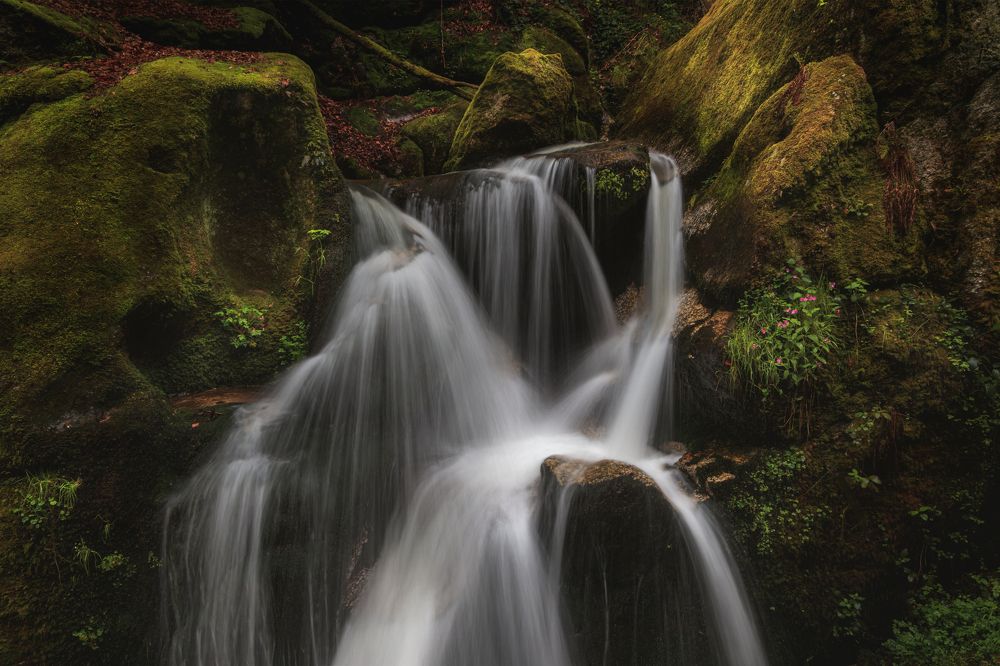 Little Falls in Spring