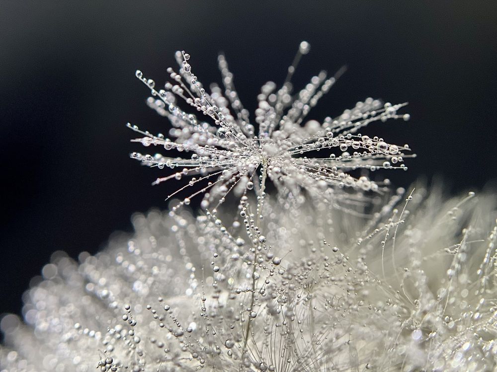 Photograph by Юлия