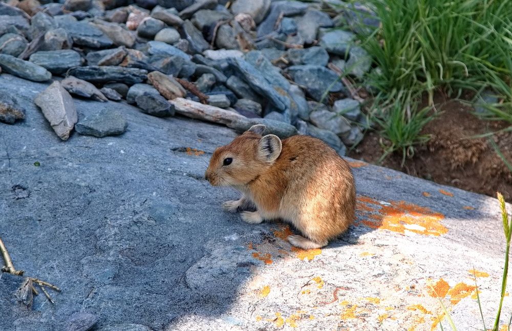 Photograph by Алексей Хазов
