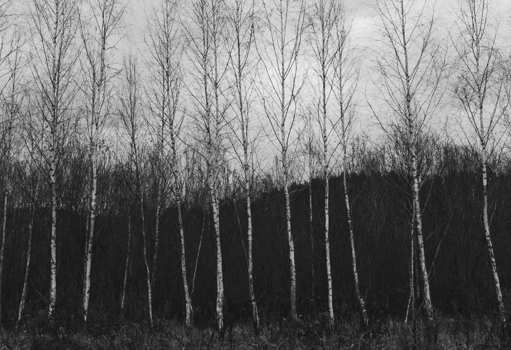 Фотография автора Catherine Shashkova