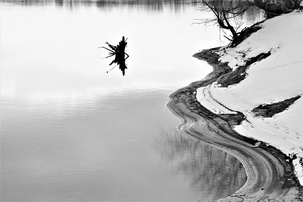 Фотография автора IRINA FILIPPOVA