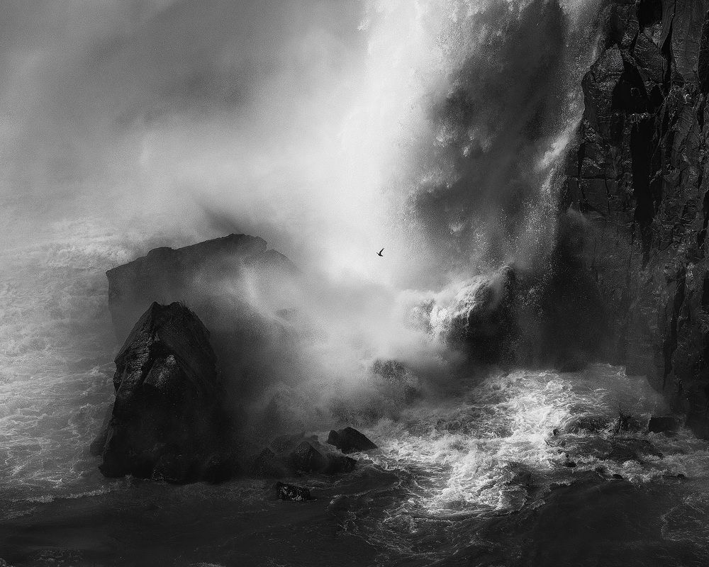 Шум и ярость.