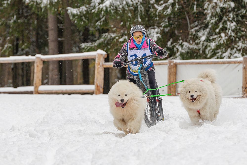 Photograph by Денис Павлов