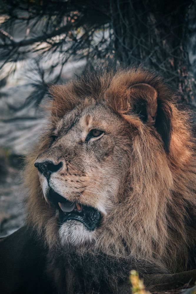 Фотография автора Илья Малеев