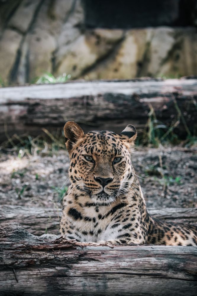 Фотография автора Илья Малеев