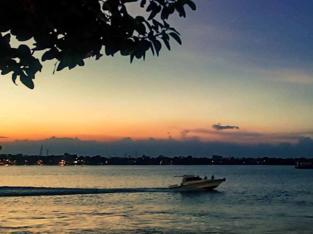 Photograph by Debanik Dutta