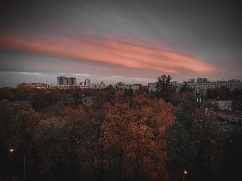 Photograph by Oleg Dogonov