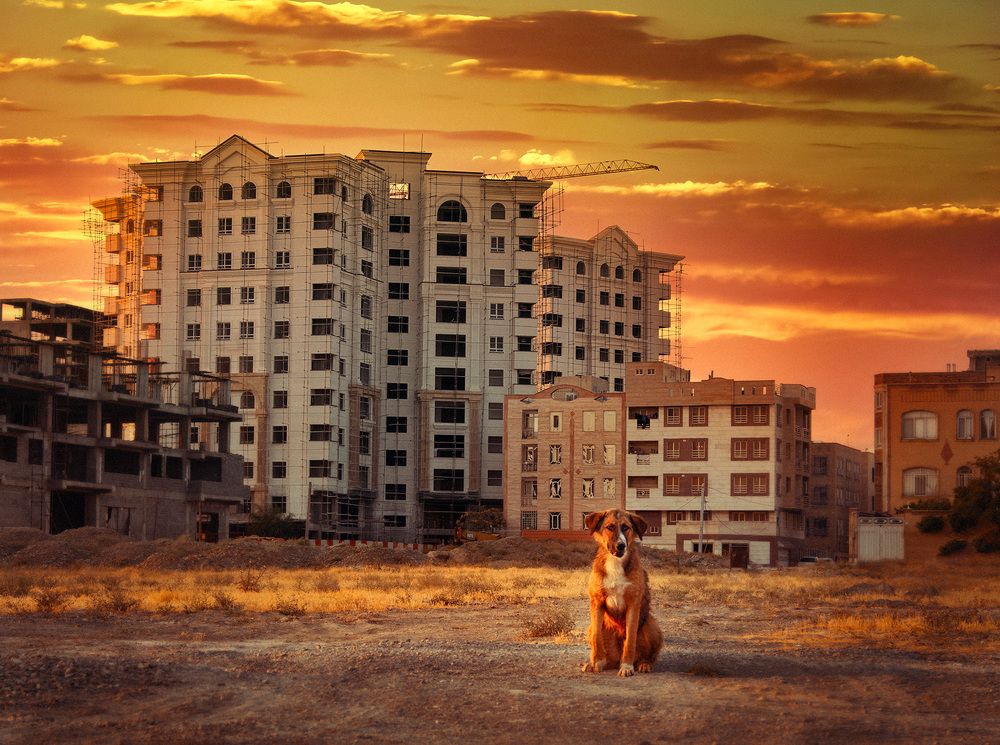 Photograph by Farzad Ajori