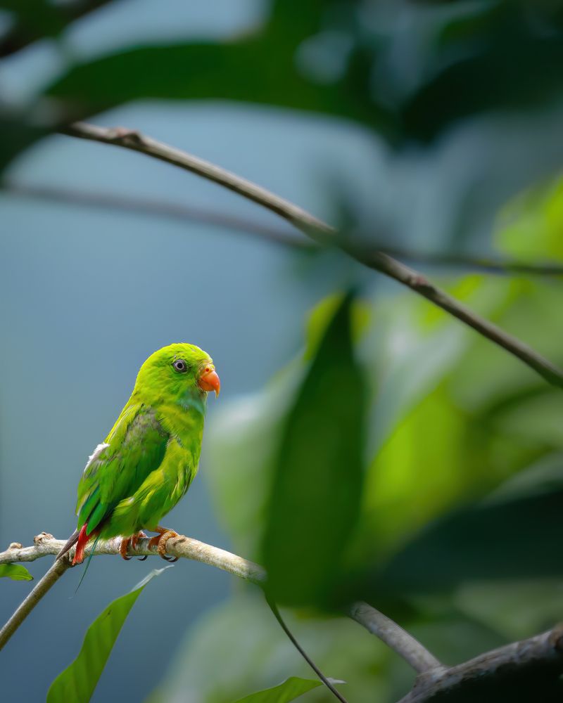 Photograph by Tijin v s