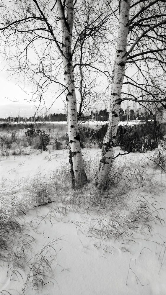 Фотография автора Евгения Зайцева