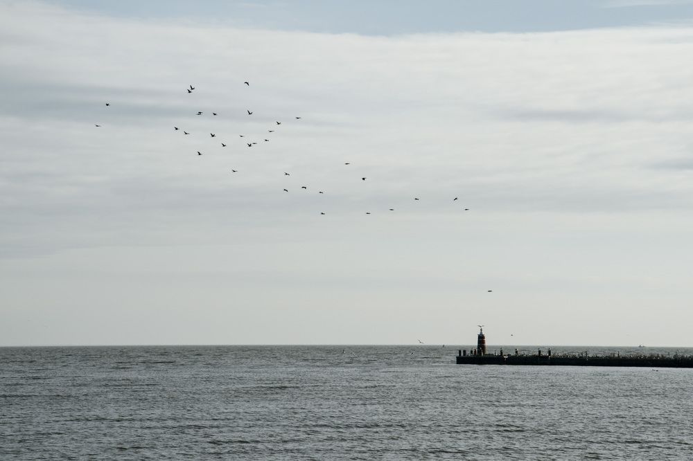 Фотография автора Людмила Куприянова