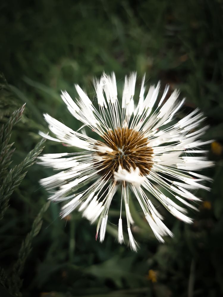 Photograph by Людмила