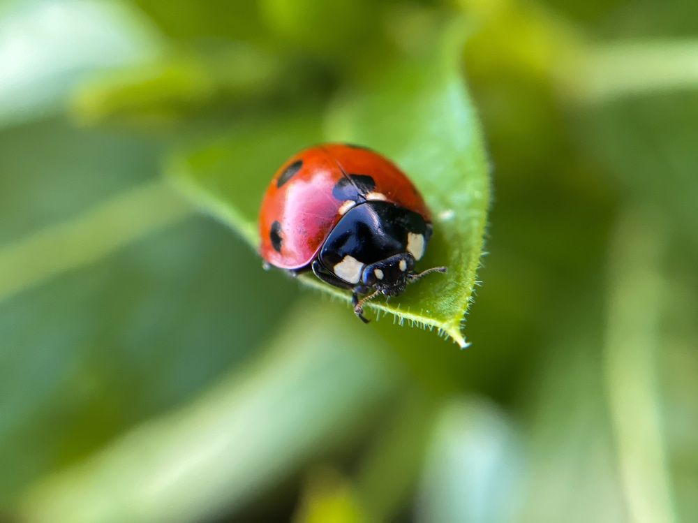 Photograph by Юлия