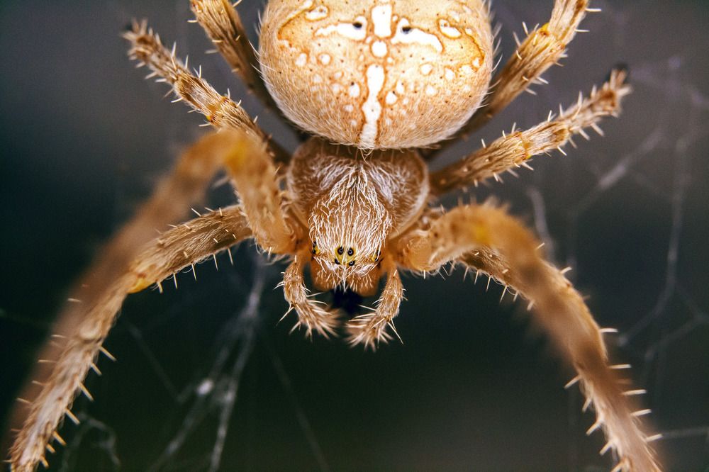 Фотография автора Сергей