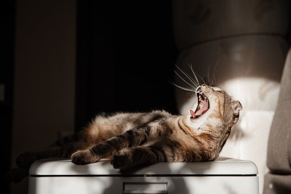 Photograph by Анна Малышева