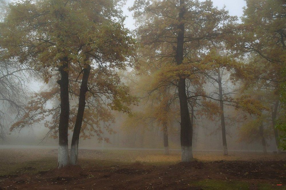 Photograph by Валерий