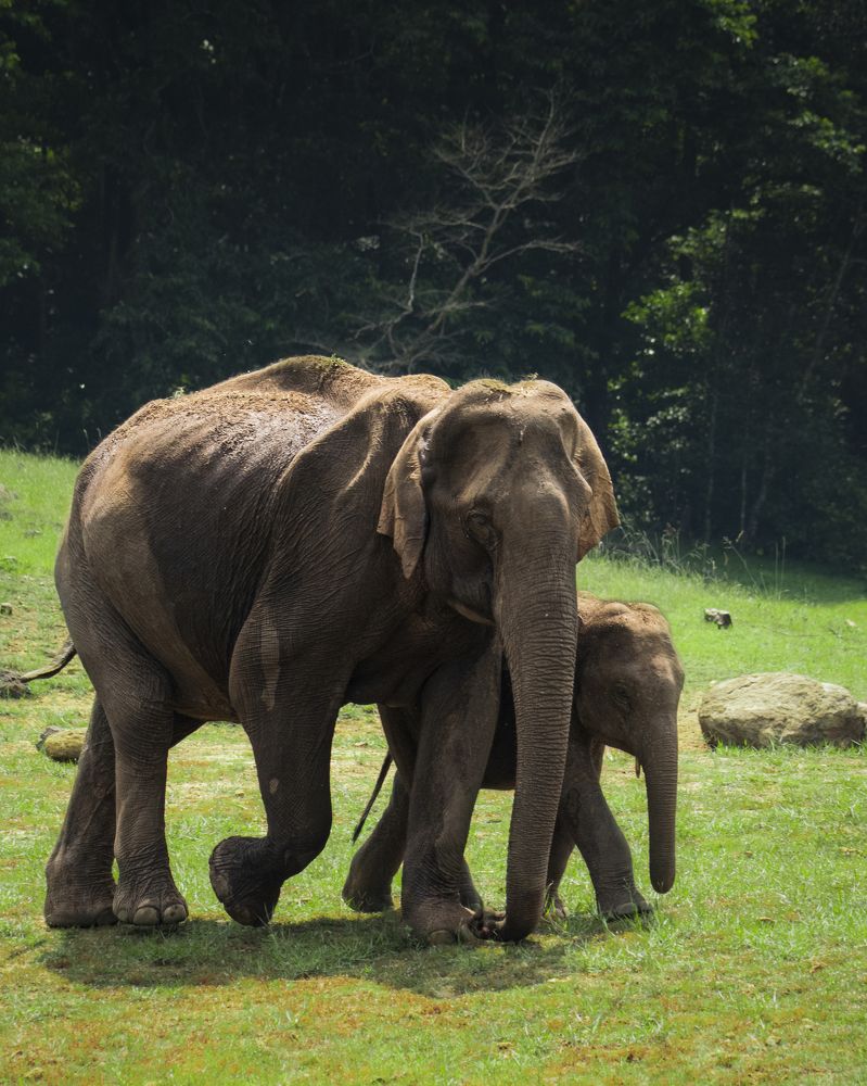 Photograph by TIJIN V S