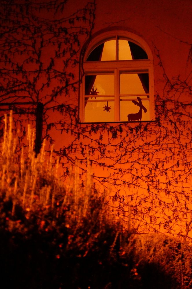 Photograph by Юрий Сычев