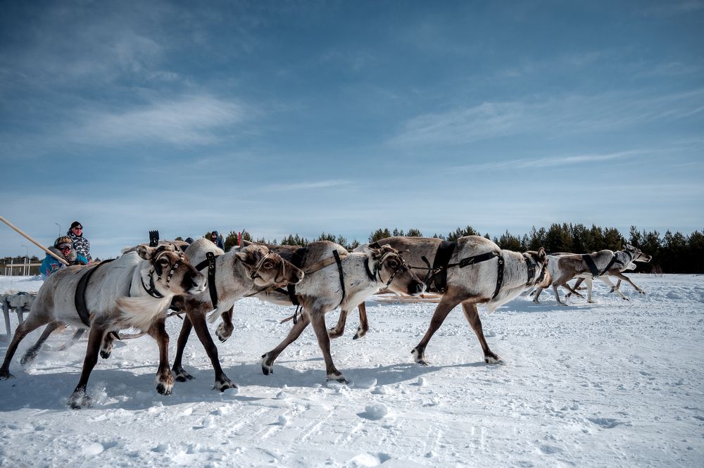 Photograph by Konstantin Mikhailov