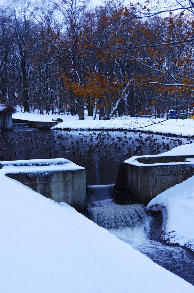 Photograph by Nadezda Sarap