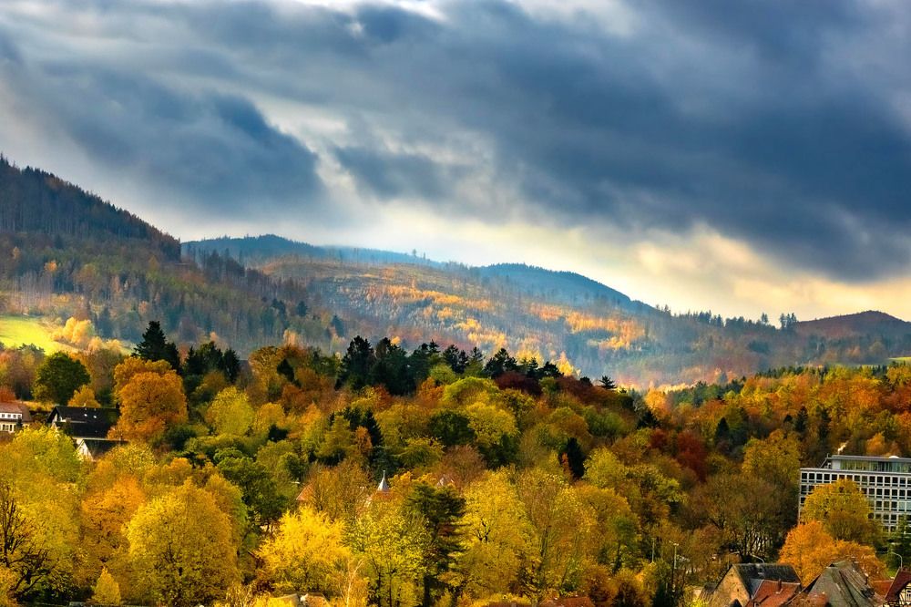 Photograph by Veronika Pershyna