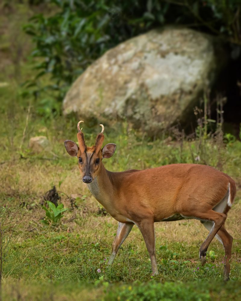 Photograph by TIJIN V S