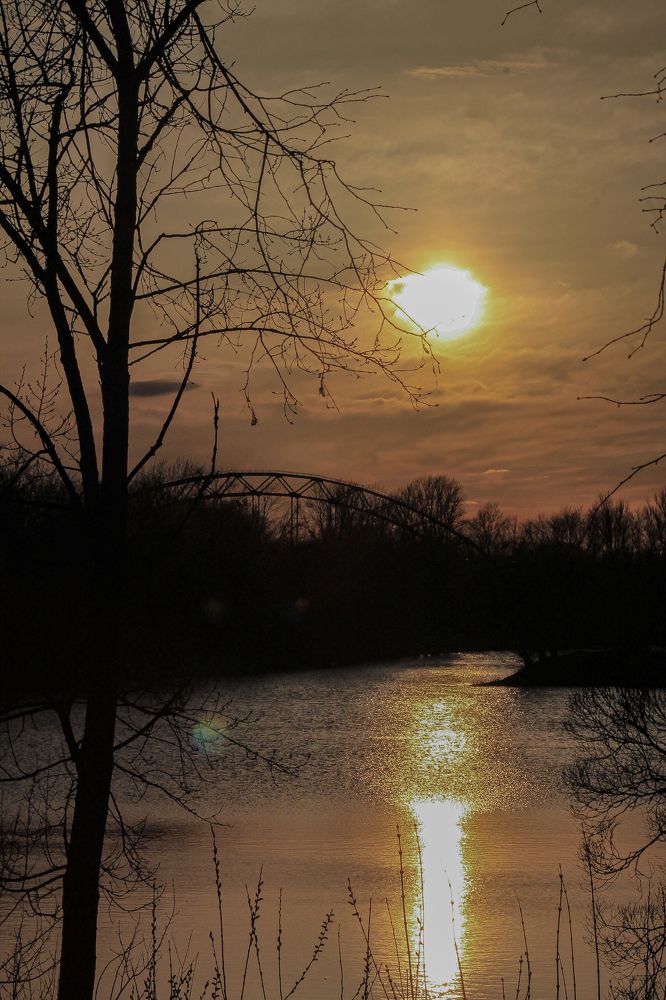 Photograph by Анастасия Псарёва